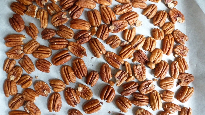 noce pecan da sapere