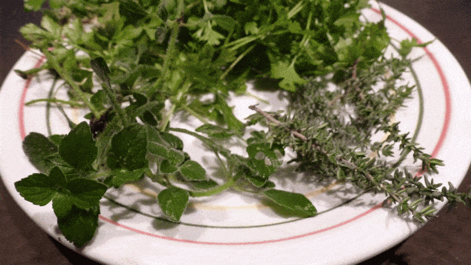 erbe aromatiche