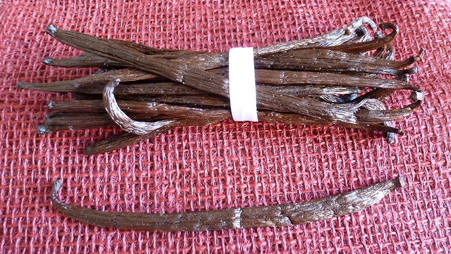 estratto di vaniglia
