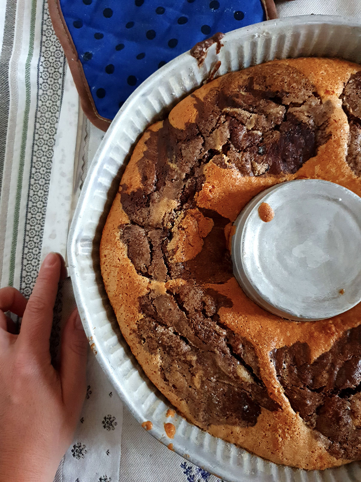 torta bicolore al cacao