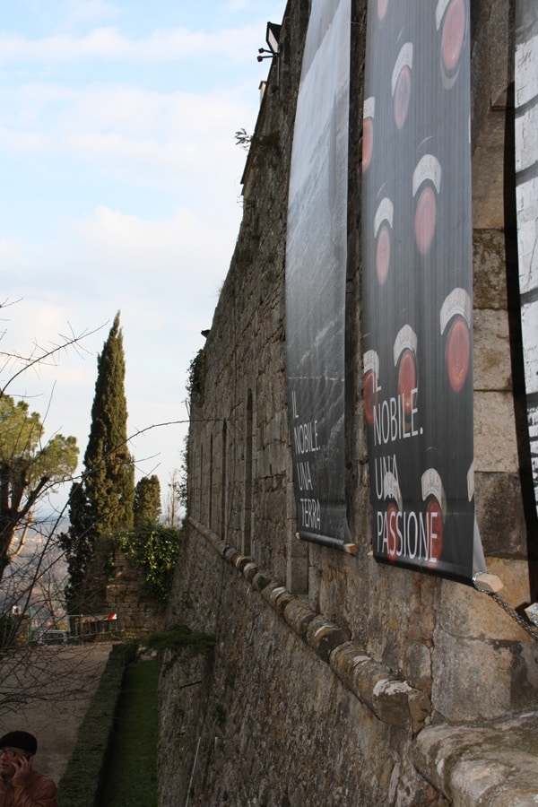 ingresso anteprima montepulciano