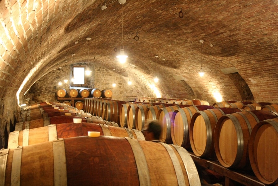 barricaia magione