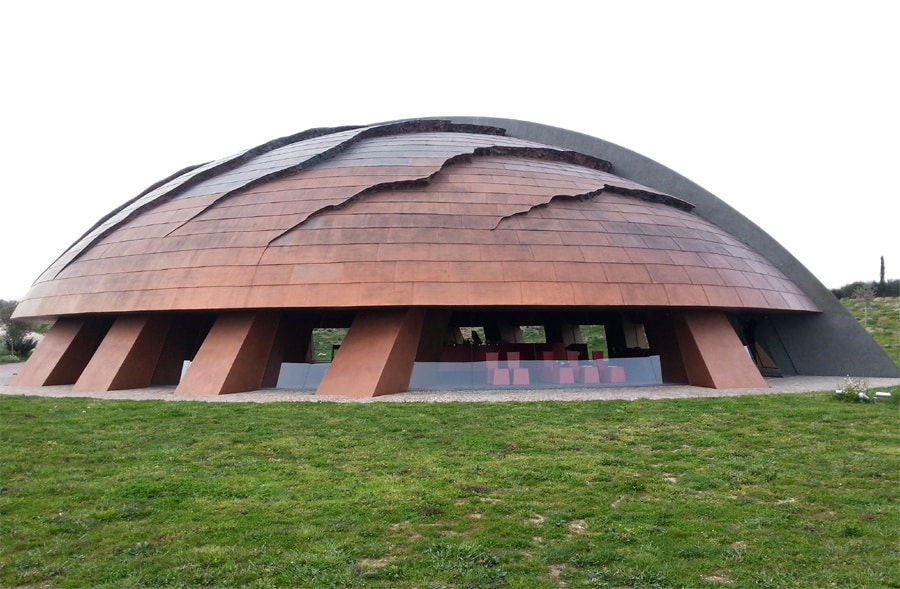 carapace