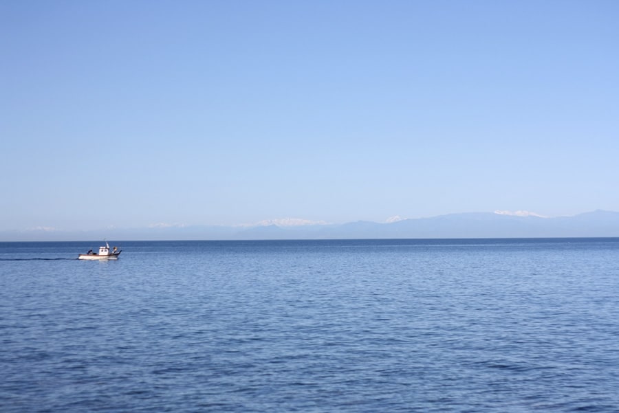 corsica dall'elba