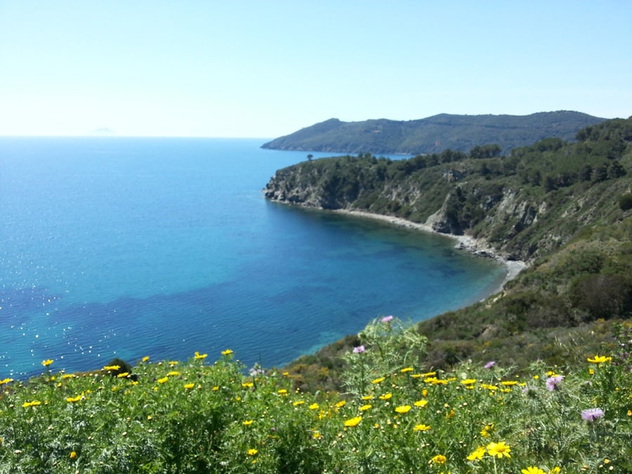 isola elba