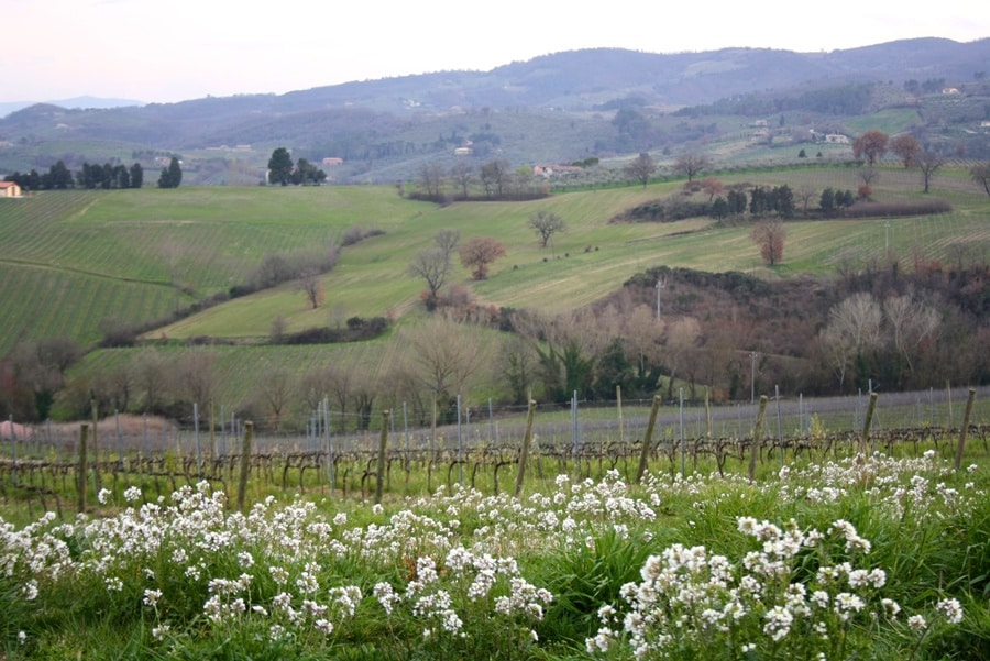 colline umbre