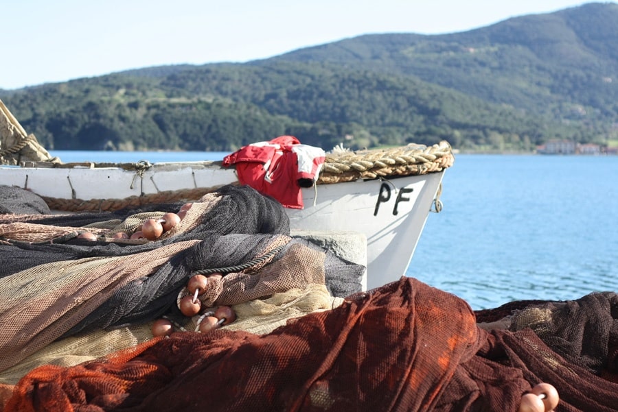 Aleatico dell'isola d'Elba a Portoferraio