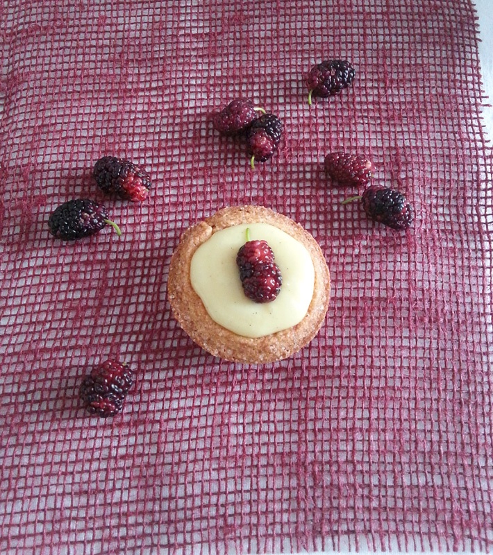 Crostata di gelsi neri