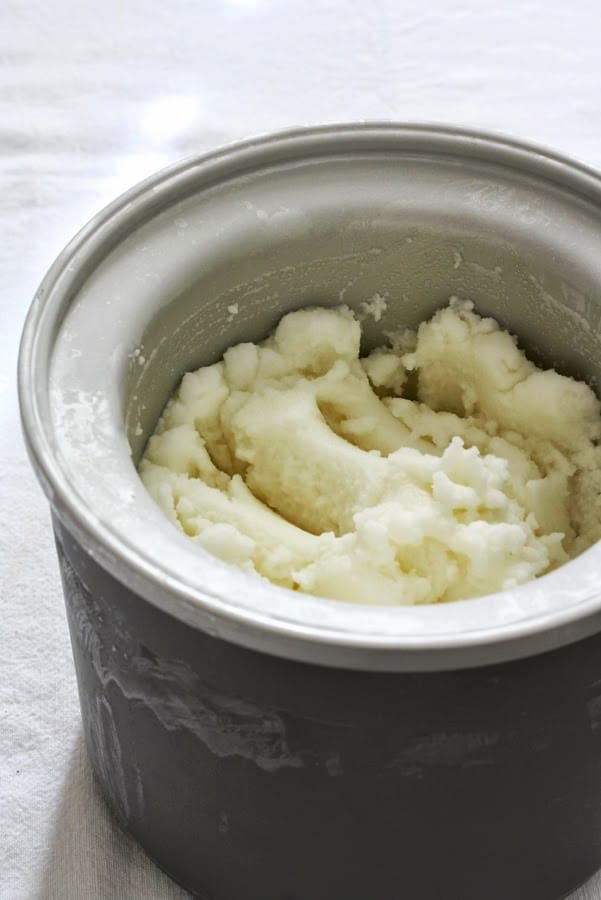 preparare il sorbetto a casa