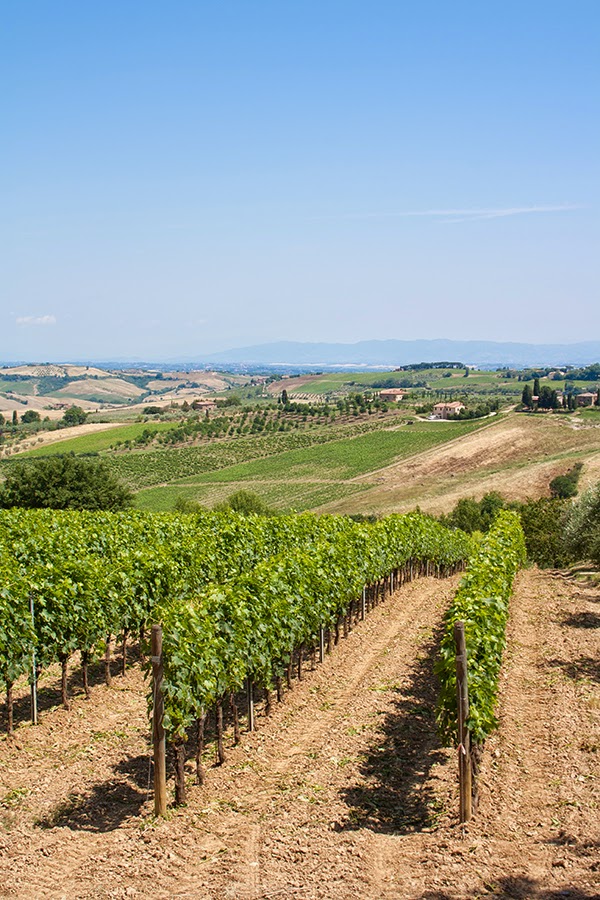 strada del vino nobile di montelpuciano strada del vino nobile di montelpuciano