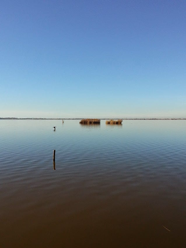 lago massaciuccoli toscana