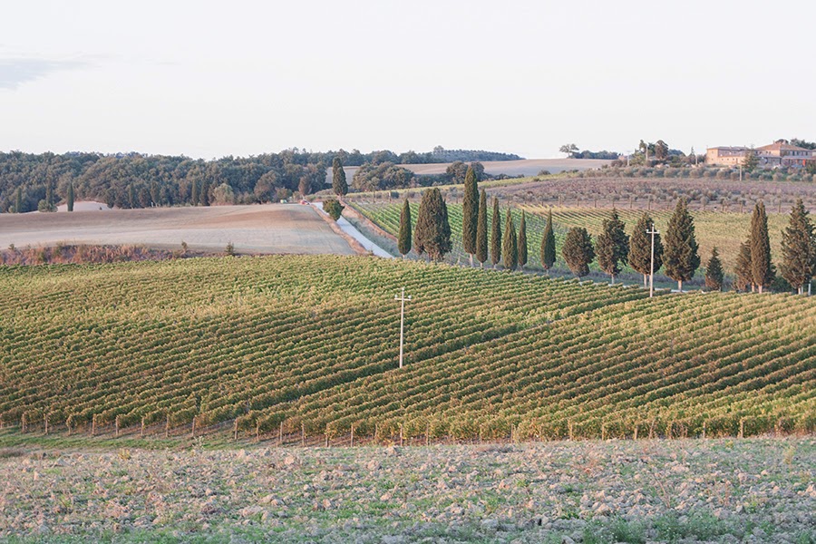 autunno val d'orcia