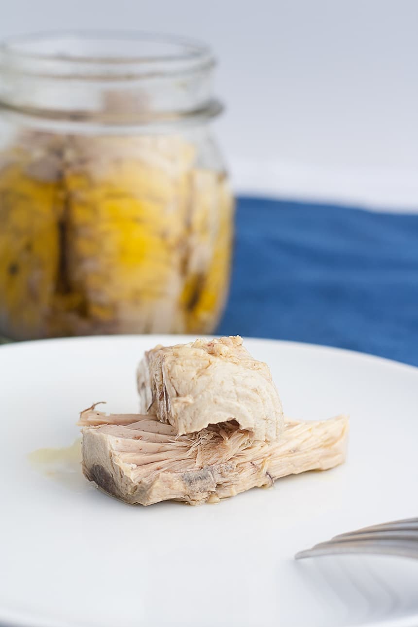 palamita sott'olio palamita sott'olio