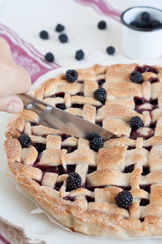 crostata di more di rovo2
