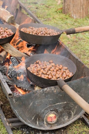 sagra castagne lupinaia