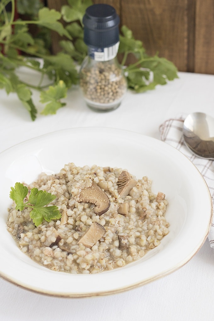 Buchweizensuppe mit Pilzen Kochen mit Buchweizen