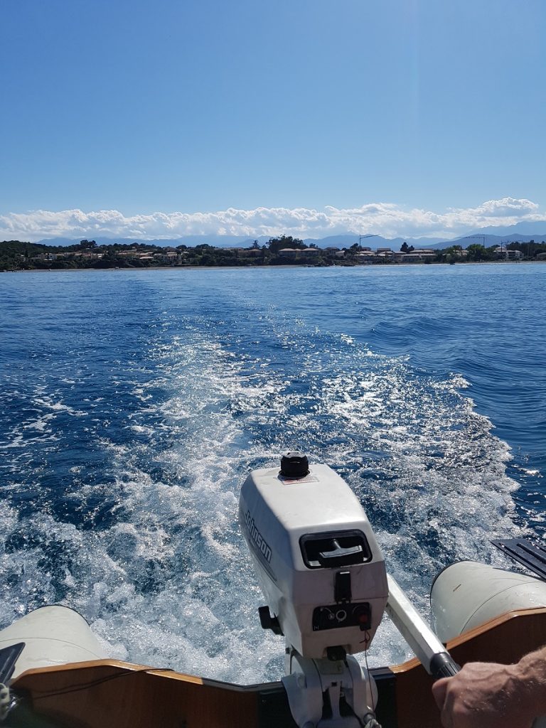 mare