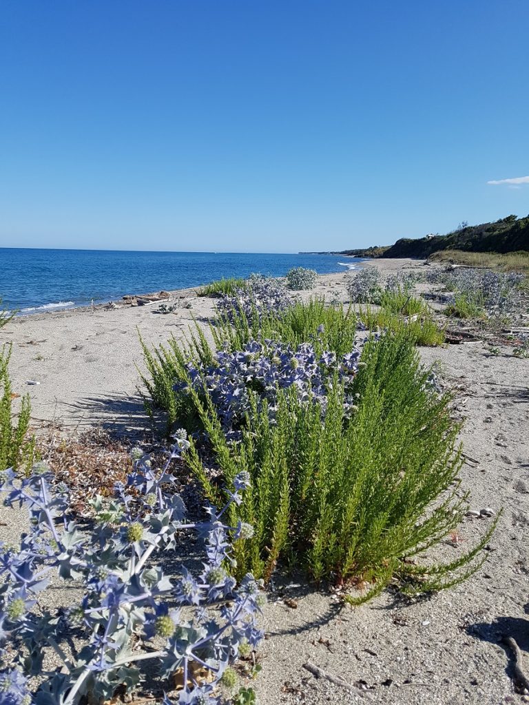 spiaggia corsa