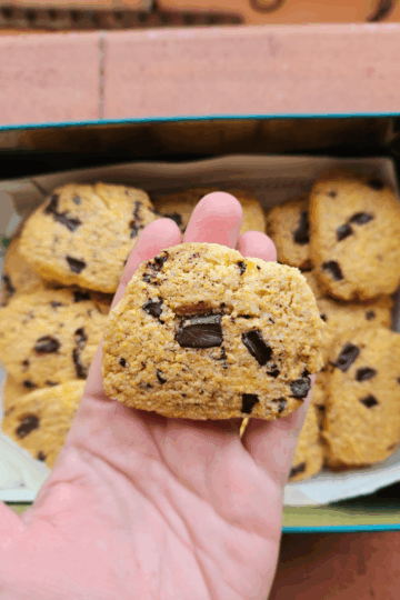 Biscotti cocco, cioccolato e mais