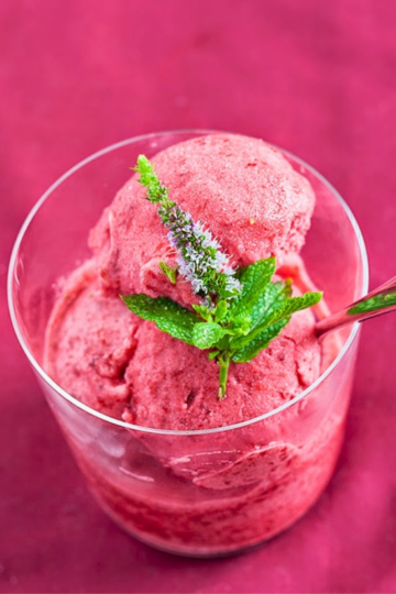 sorbetto susine fatto in casa