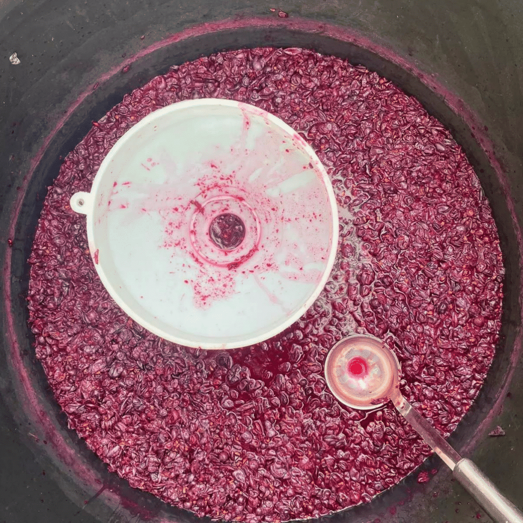 the black fig vino artigianale