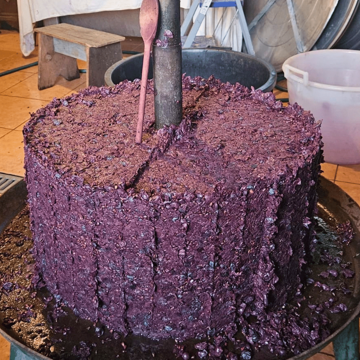 ricette vino